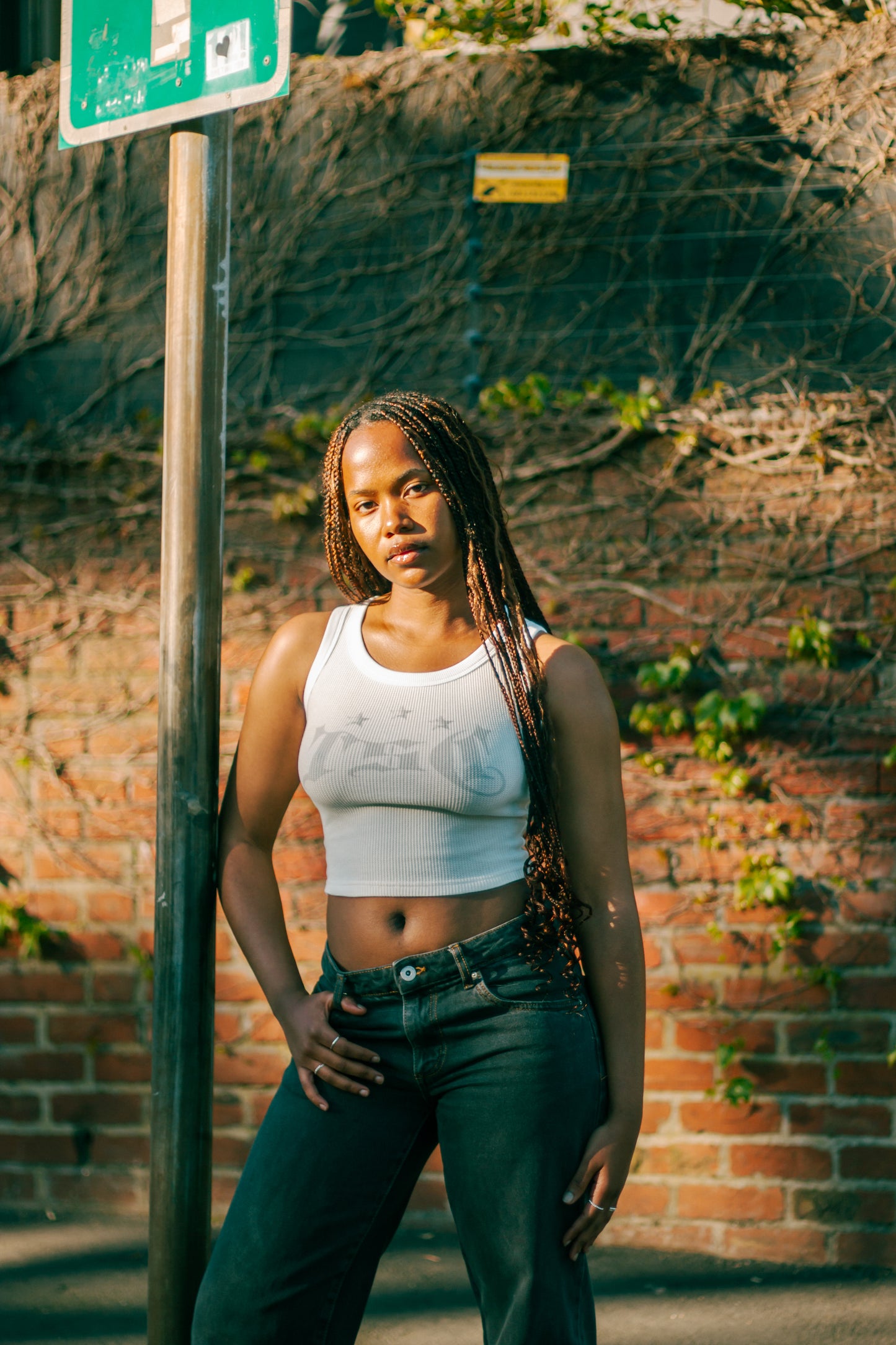 White TSC Crop Top